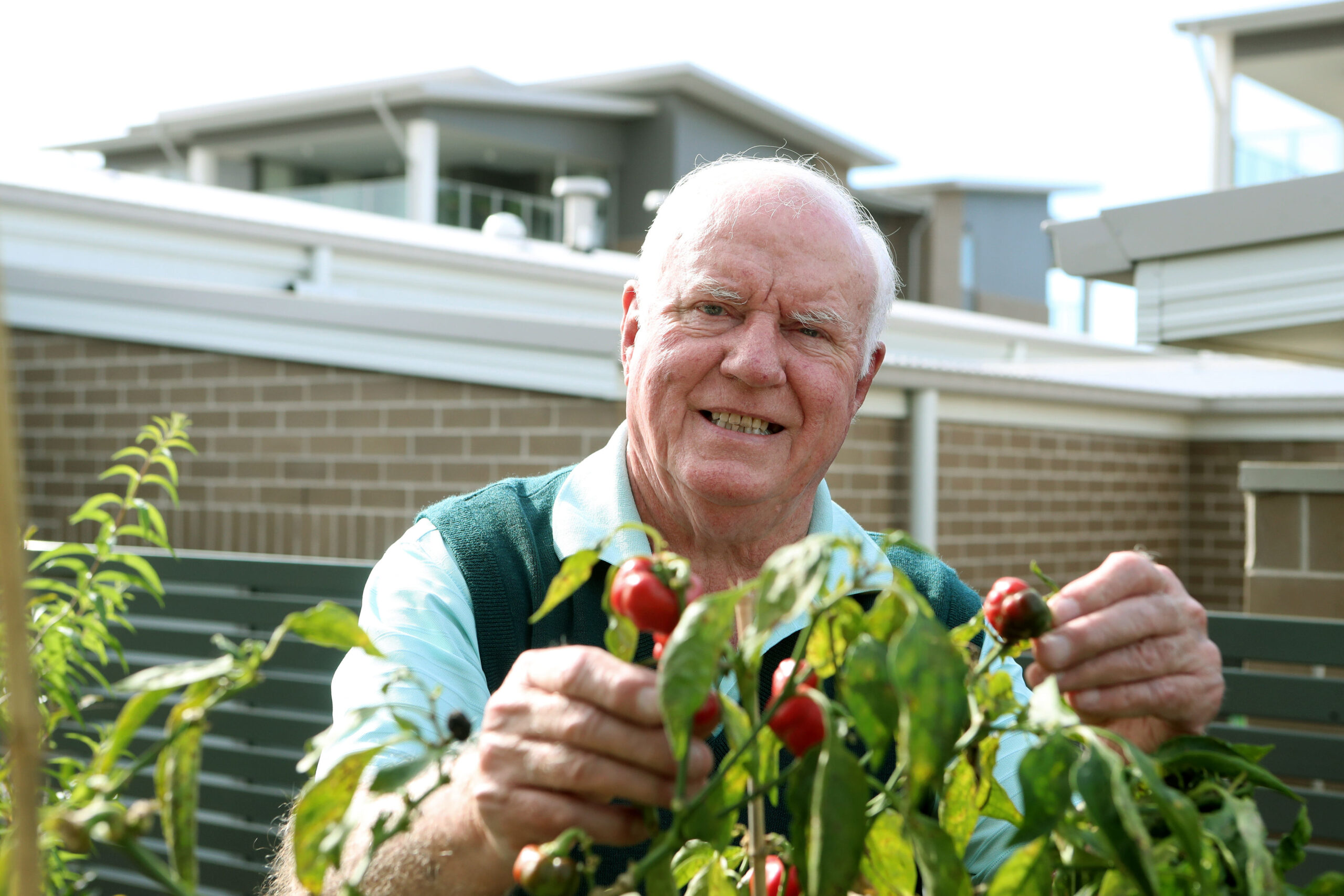 Warrigal resident enjoying therapeutic gardening, nurturing plants with care.