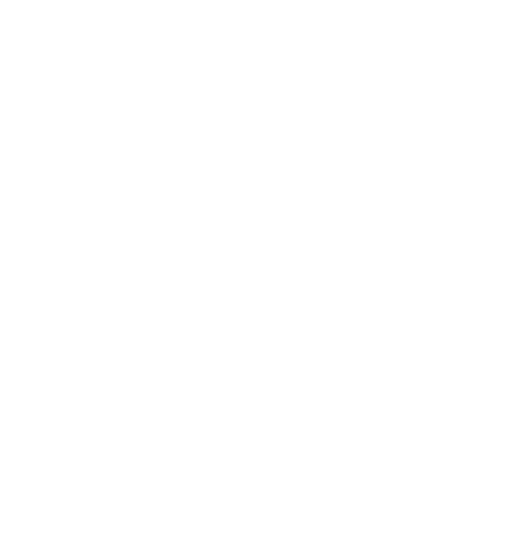 Shell Cove Illustration