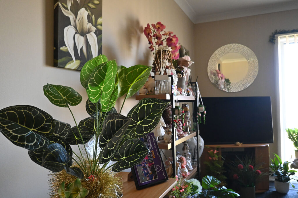 Quarto de Dianne, Monte Warrigal
